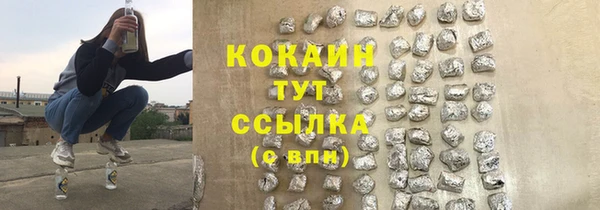 apvp Каменка