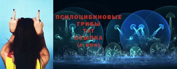 apvp Каменка