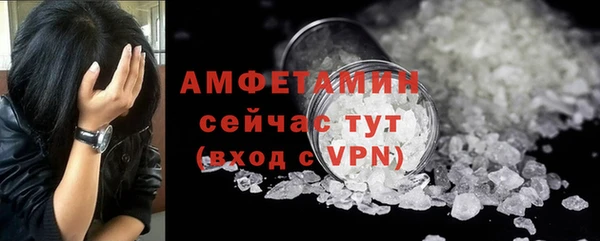 apvp Каменка