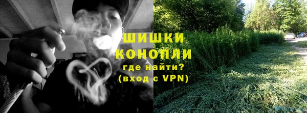 apvp Каменка