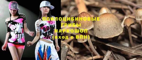 apvp Каменка
