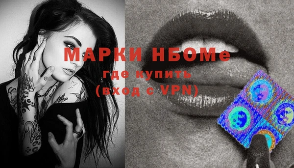 apvp Каменка